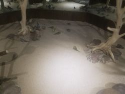 点击看大图 -哈尼鹿儿童乐园(兰州东瓯店)