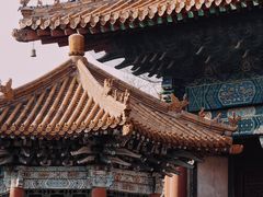 -泰山花样年华景区