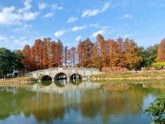 -中国科学院华南植物园