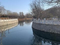 -大望京公园
