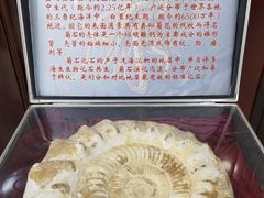 -中国第四纪冰川遗迹陈列馆