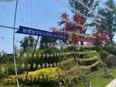 -祥源·阜阳生态乐园