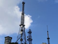 -武陵山森林公园