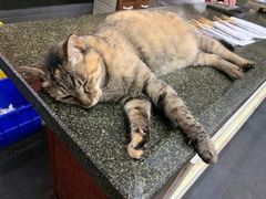 -协和菜馆(凤凰街店)