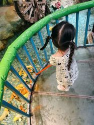 -酷嗒动物文化乐园(cutezoo西溪乐天城店)