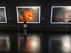 -罗红摄影艺术馆