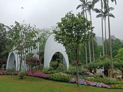 -桃花涧