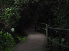 -南丫岛