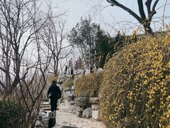 -郭守敬纪念馆