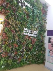 点击看大图 -禾美嘉医疗美容