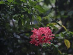 -燕晗山郊野公园