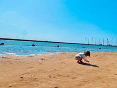 -碧海金沙