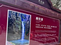 -鹿院坪生态旅游景区