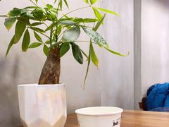-川锅哎哟·麻辣香锅(国大城市广场店)