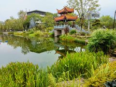 -北湖公园
