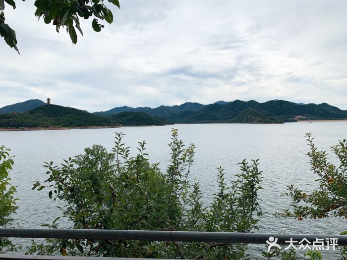 望湖烤鱼图片