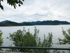 -望湖烤鱼
