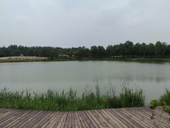 -东郊湿地公园