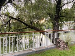 -人民公园(罗湖区)