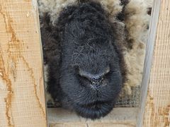 -水上乐园·欢乐世界