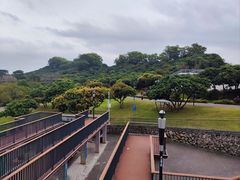 -立新湖公园