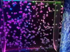 -欢乐海岸海洋奇梦馆
