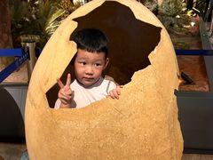 -湖南省地质博物馆