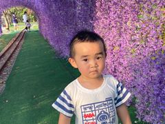 -长洲岛都市农业公园