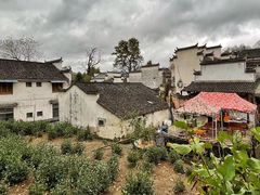 -塔川景区