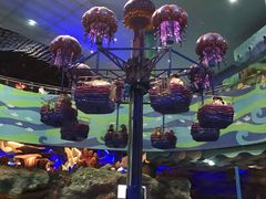 -青岛东方影都融创水世界