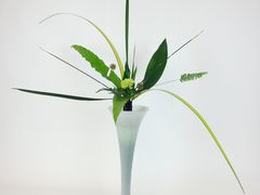-荷兰布尔玛国际花艺学院
