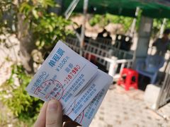 -广东惠东海龟国家级自然保护区