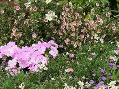 -人民公园(罗湖区)