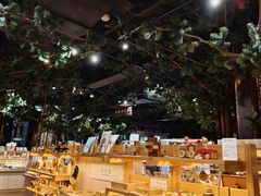 -黄海国家森林公园