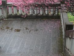 -万县面馆(高笋塘店)