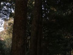 -都江堰普照寺