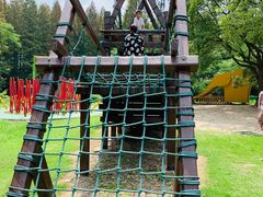 -崇明东平国家森林公园烧烤房车露营地