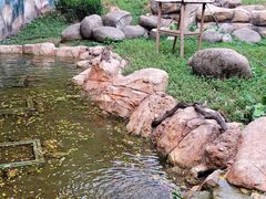 -广州长隆野生动物世界