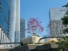 -深圳湾万象城(南山店)