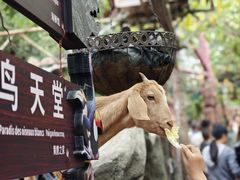 -长鹿旅游休博园