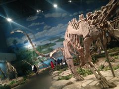 -自贡恐龙博物馆