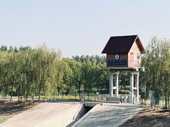 -东郊湿地公园