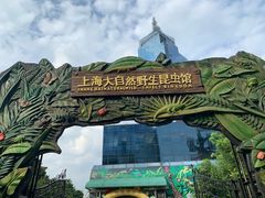 -上海大自然野生昆虫馆(东方明珠·爬宠昆虫探索中心)