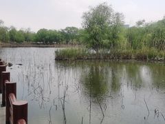 -长兴太湖图影湿地文化园