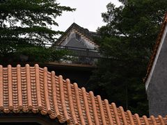 -顺峰山公园