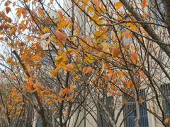 -江苏科技大学(梦溪校区)