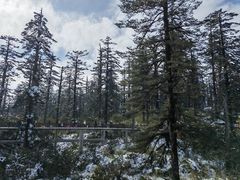 -瓦屋山景区