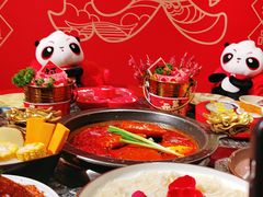 -蜀大侠火锅(总府路店)