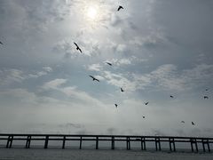 -黑石礁公园