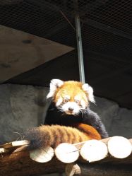 -Zoolung Zoolung动物主题公园(海信广场店)